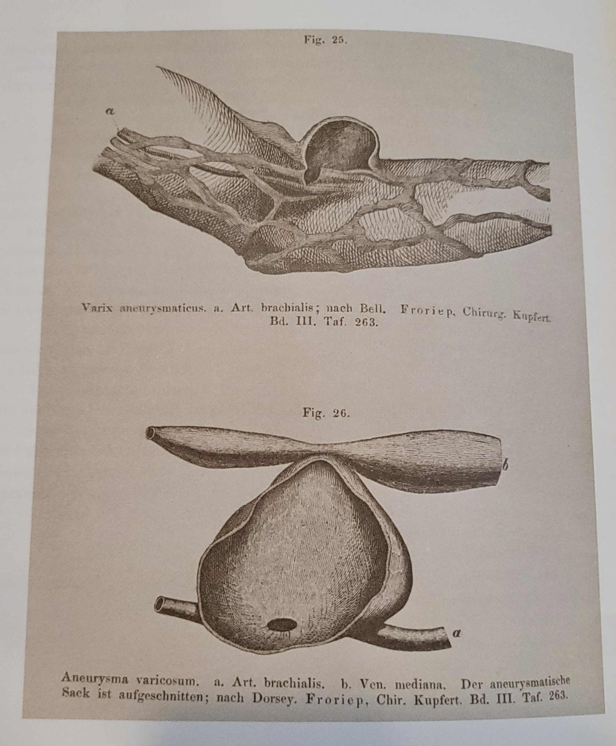 Die allgemeine chirurgische Pathologie und Therapie . . .  | 1863 Die allgemeine chirurgische Pathologie und Therapie . . .