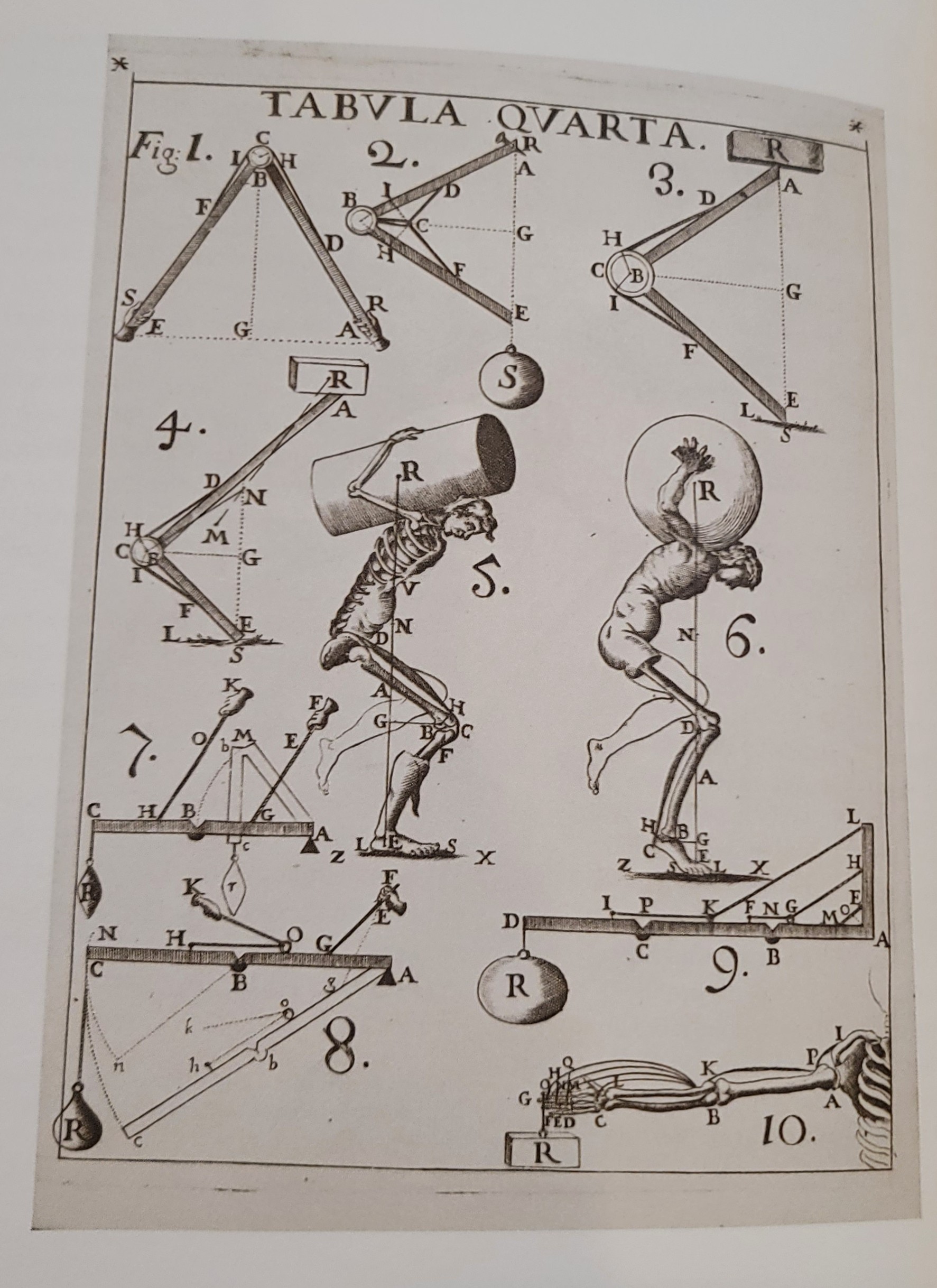 De Motu Animalium | 1680-1681 De Motu Animalium