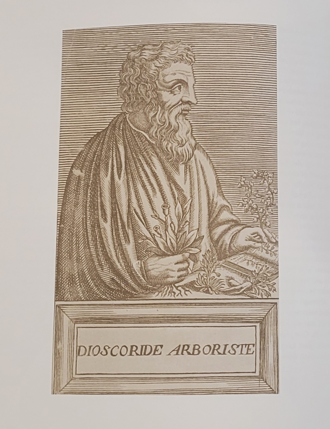 Materia Medica | 1529 Materia Medica