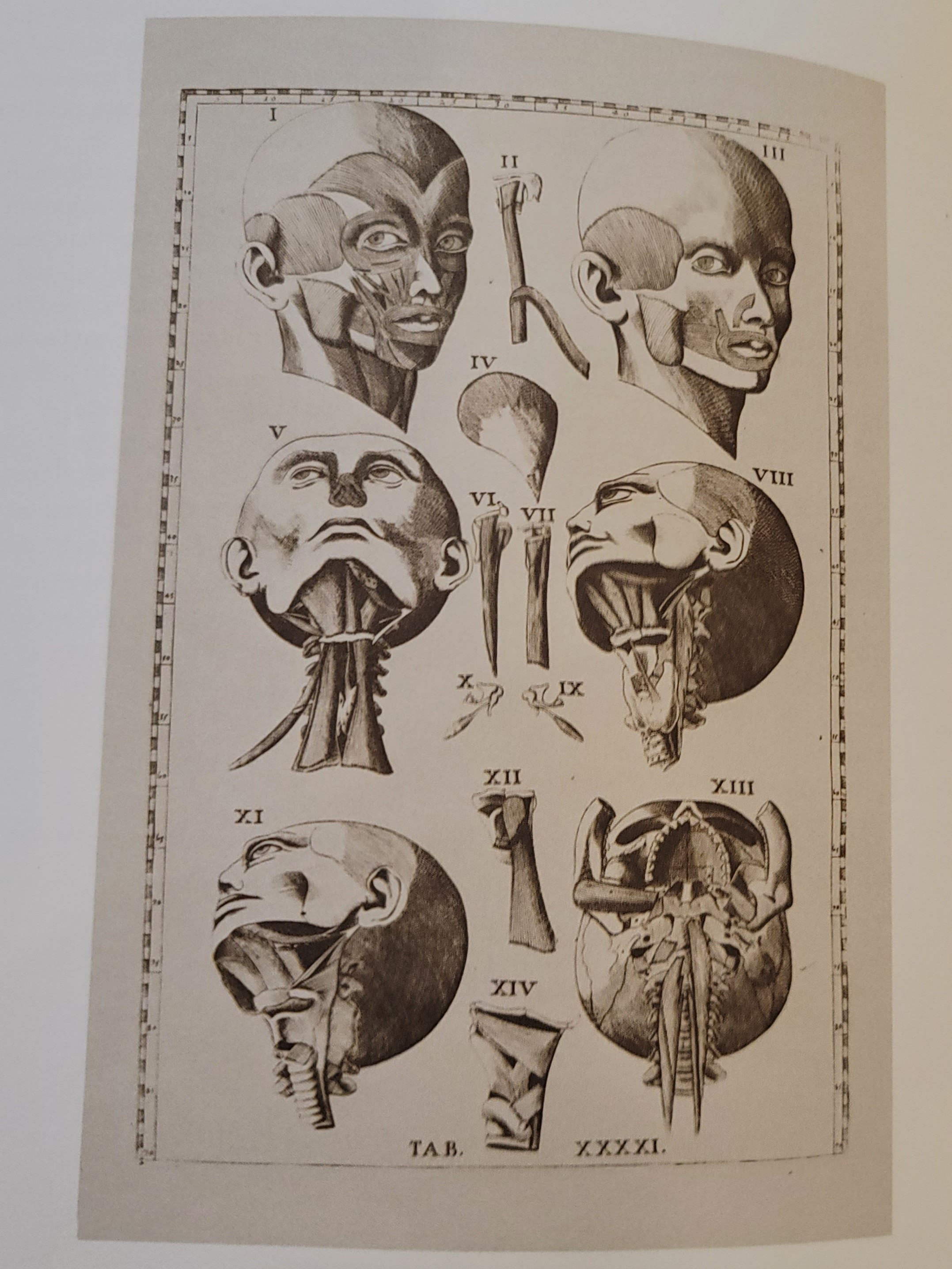 Tabulae anatomicae | 1714 Tabulae anatomicae