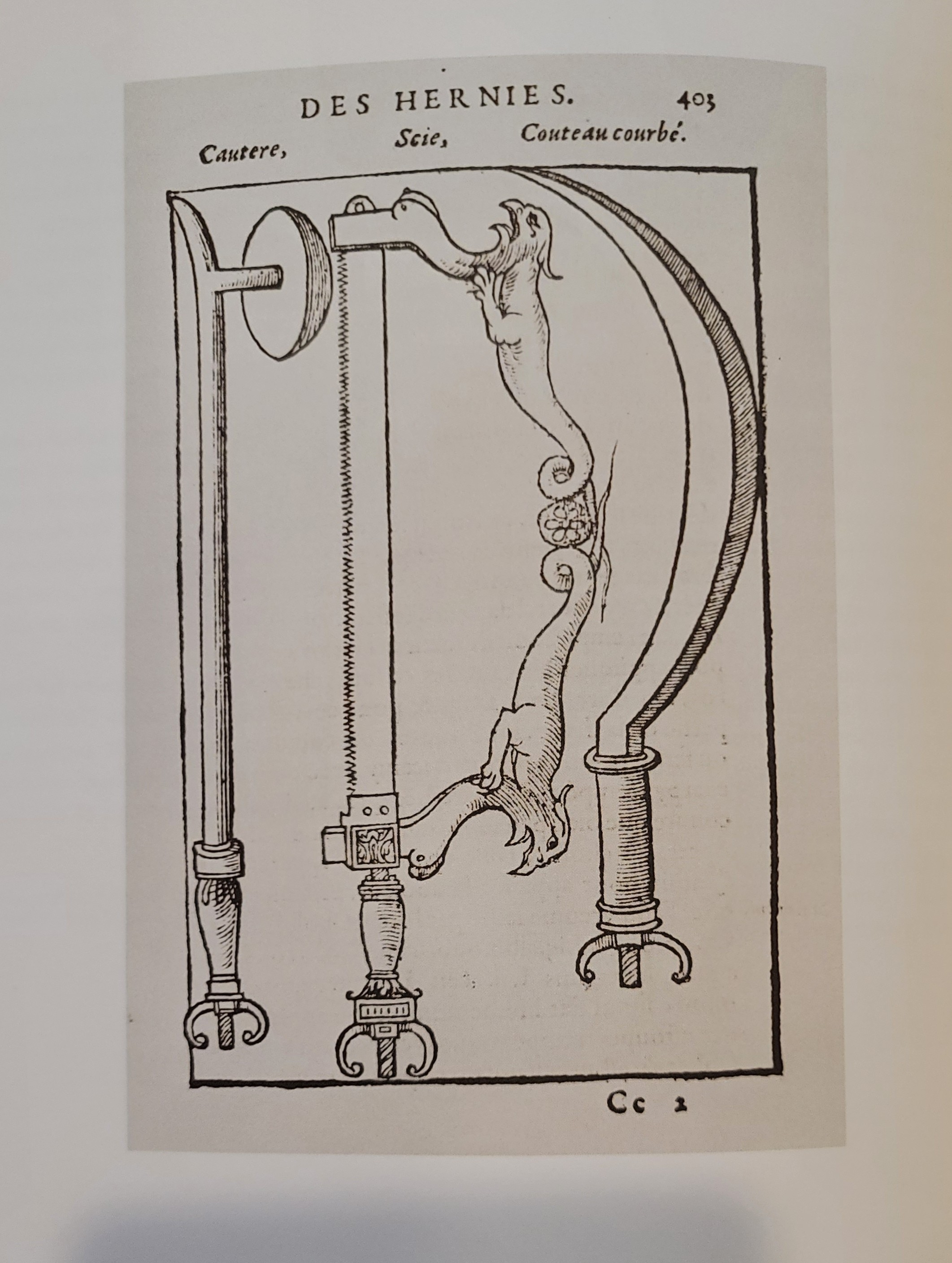 Traité des hernies . . . et autres excellentes parties de la chirurgie, assavoir de la pierre, des cataractes des yeux, & autres maladies . . . | 1561 Traité des hernies . . . et autres excellentes parties de la chirurgie, assavoir de la pierre, des cataractes des yeux, & autres maladies . . .